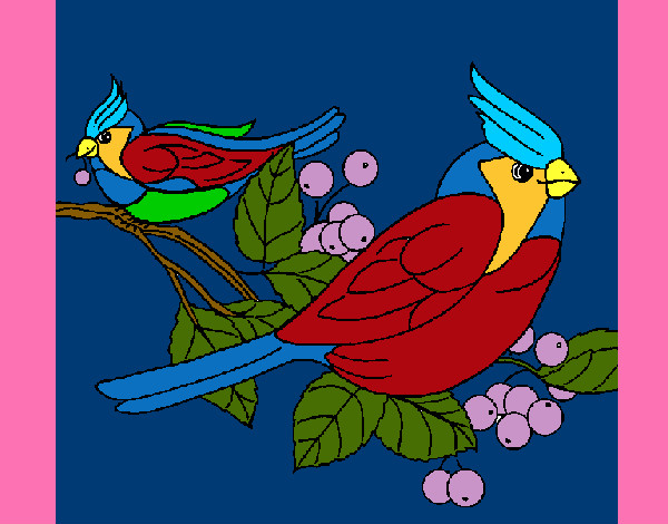 Dibujo Pájaros pintado por Samantitha