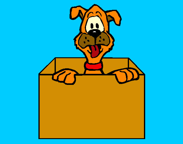Dibujo Perro dentro de caja pintado por melaa