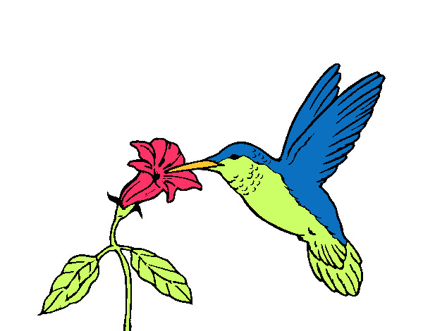 Dibujo Colibrí y una flor pintado por SUNSHINE