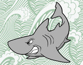 Dibujo Tiburón enfadado pintado por destructo