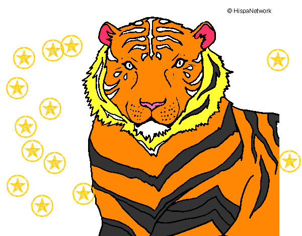 Dibujo Tigre 3 pintado por karka
