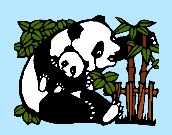mama panda