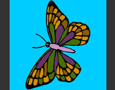 Dibujo Mariposa 10 pintado por franche
