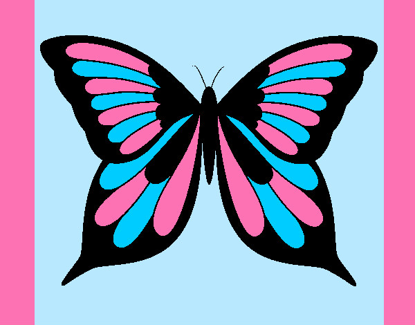 la mariposa colorida