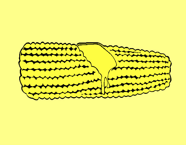 mazorca de maíz
