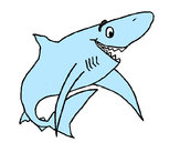 Dibujo Tiburón alegre pintado por anto260300