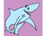 Dibujo Tiburón alegre pintado por anto260300