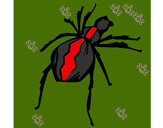 Dibujo Araña viuda negra pintado por erickpingu