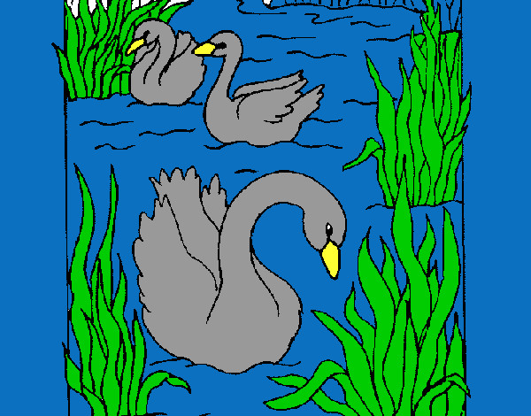 Dibujo Cisnes pintado por mariiap