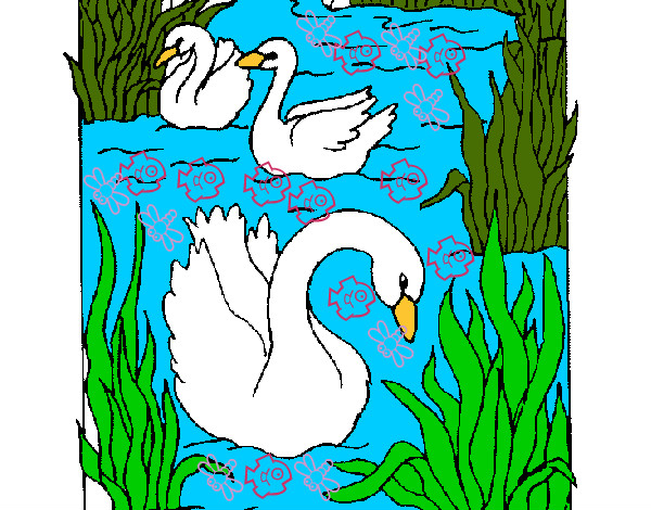 Dibujo Cisnes pintado por usuar