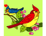 Dibujo Pájaros pintado por Veri Veri