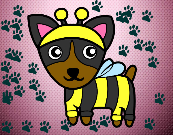 perro disfrazado de abeja (amigo del perro disfrazado de vaca)