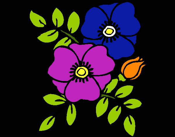 flor rosa y azul