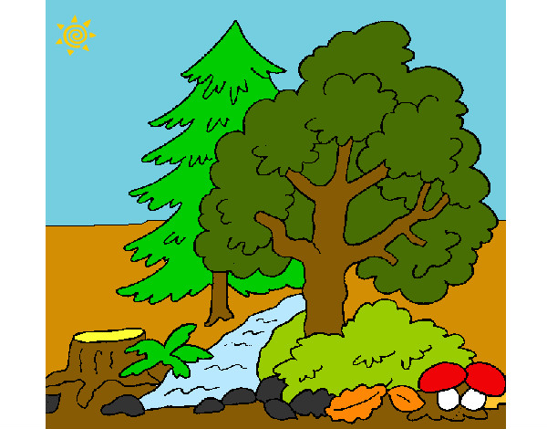 Dibujo Bosque 1 pintado por eric99