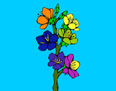 Dibujo Flores de campo pintado por jessrc