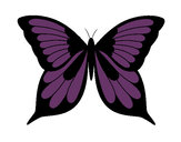 Dibujo Mariposa 8 pintado por tiquitona