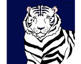 Dibujo Tigre 3 pintado por jessrc