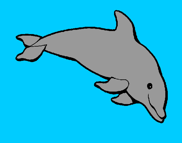 Dibujo Delfín contento pintado por VALUUUUU