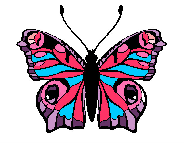Dibujo Mariposa 20 pintado por laura00