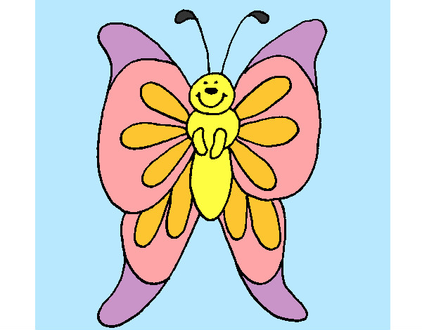 Mariposa 15