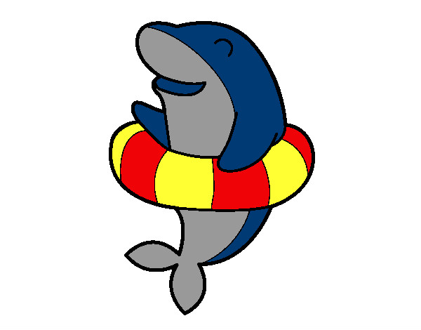 Delfin con flotador