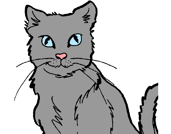 Dibujo Gato 2 pintado por AnnieMCH