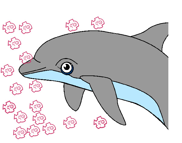 Dibujo Delfín pintado por KARQI