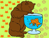Dibujo Gato mirando al pez pintado por aroyta2002