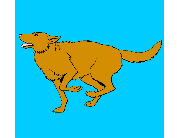 Dibujo Perro corriendo pintado por sampy