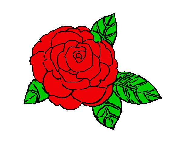 Dibujo Rosa 2 pintado por Thurubia