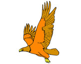 Dibujo Águila volando pintado por gigante