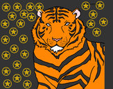 Dibujo Tigre 3 pintado por CYNTL