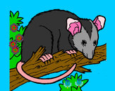 Dibujo Ardilla possum pintado por heroman