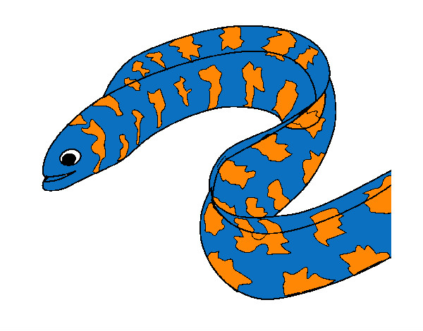 anguila