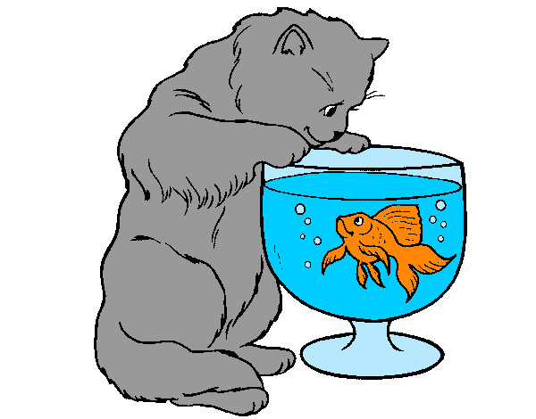 el gato mirando a un pez en una pecera