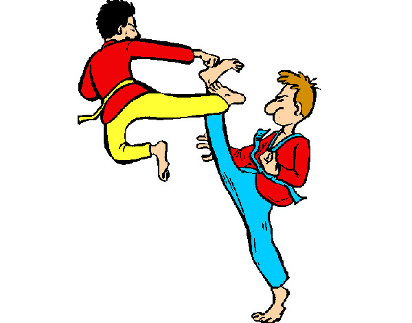 karate españa-      