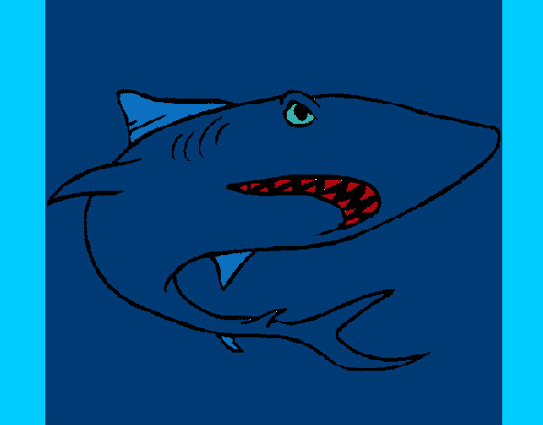 Dibujo Tiburón pintado por MARIAH