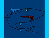 Dibujo Tiburón pintado por MARIAH