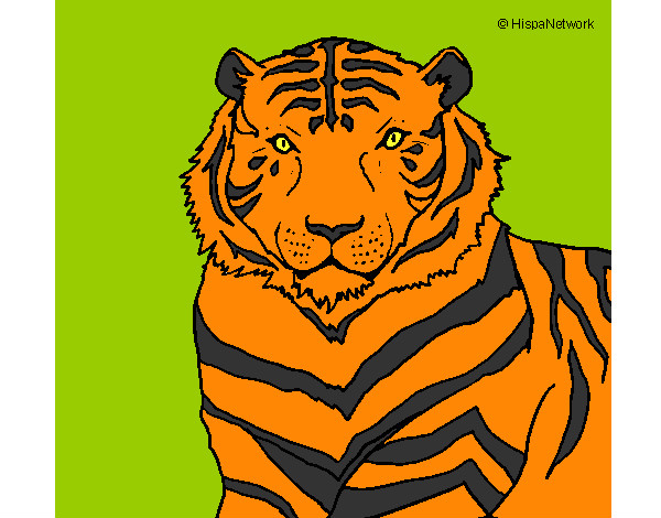 Dibujo Tigre 3 pintado por Cutun