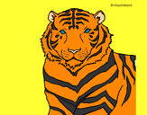 Dibujo Tigre 3 pintado por sofiapoble