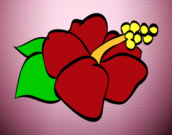 Dibujo Flor de lagunaria pintado por AAngie