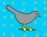Dibujo Pájaro 4 pintado por karlanet