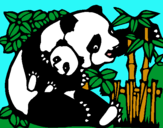 Dibujo Mama panda pintado por ticole