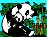 Dibujo Mama panda pintado por Xicauuuuuuu6