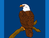 Dibujo Águila en una rama pintado por jorda