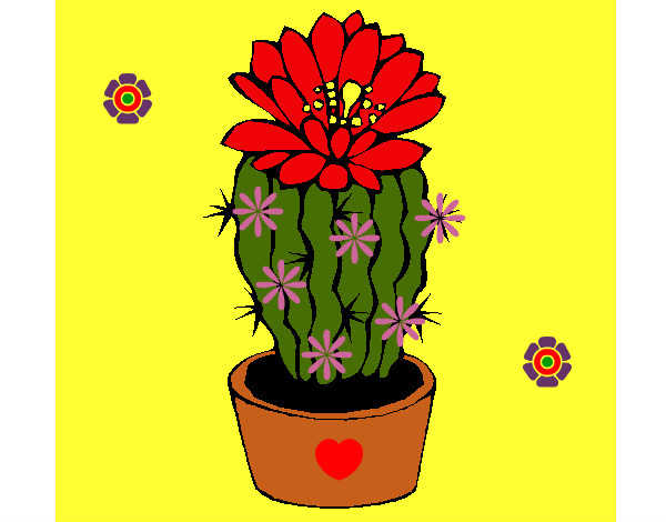 Dibujo de Cactus con flor pintado por Liz94 en  el día 05-01-13  a las 21:45:59. Imprime, pinta o colorea tus propios dibujos!