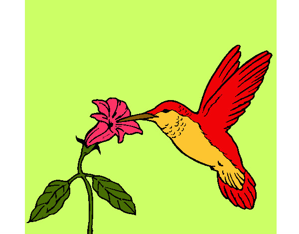 Dibujo Colibrí y una flor pintado por Eddarosa
