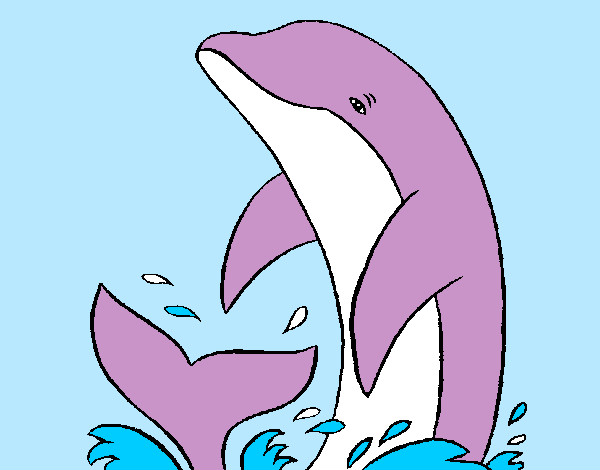 delfin chapoteando