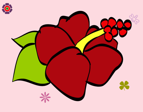 Dibujo Flor de lagunaria pintado por fridis45