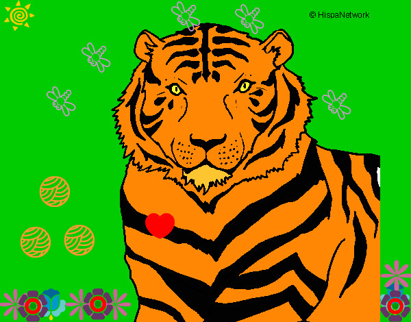 Dibujo Tigre 3 pintado por jegr